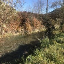 IMG_8864