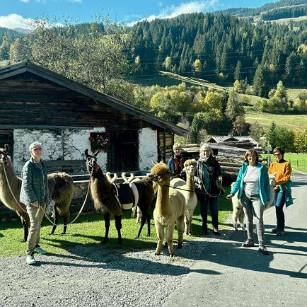 Alpaca Experience Jochberg