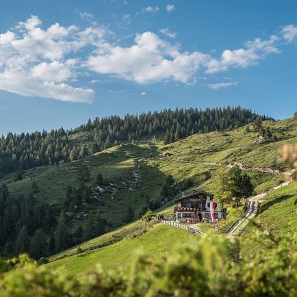 Buchackeralm - BlackAngus Alm