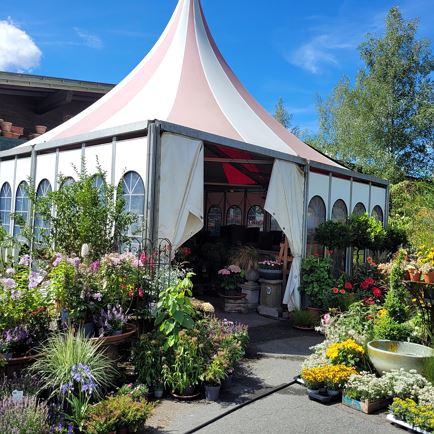 Florale Poesie - Blumen Pöll