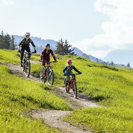 Widmann Ski & Mountain Sports