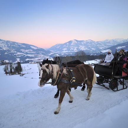 Horse sledging Loinger