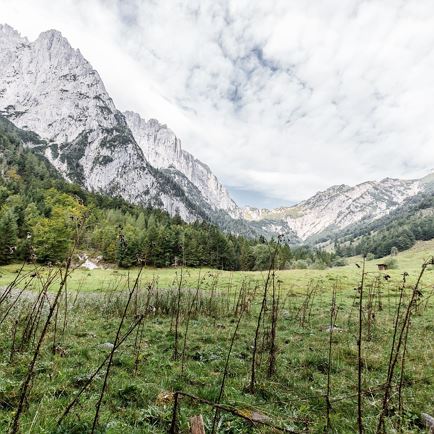 Kaiserbachtal Naturschutzgebiet