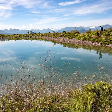 Berg- en wandelgids Helmuth Lamprecht