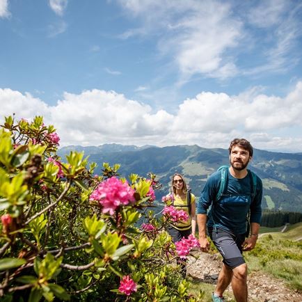 2nd stage KAT Walk Alpine