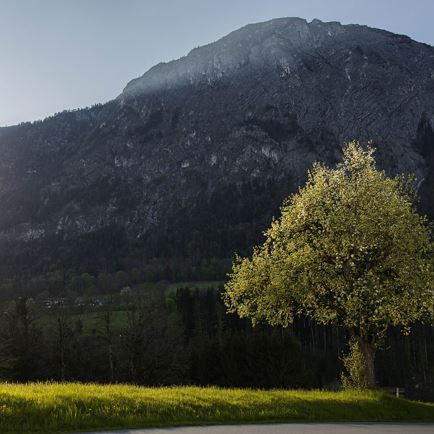 Angerberg Frühling (c) Magdalena Laiminger 9.jpg