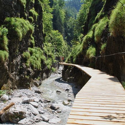 Griesbachklamm (c) WMP Martin Weigl-015.jpg