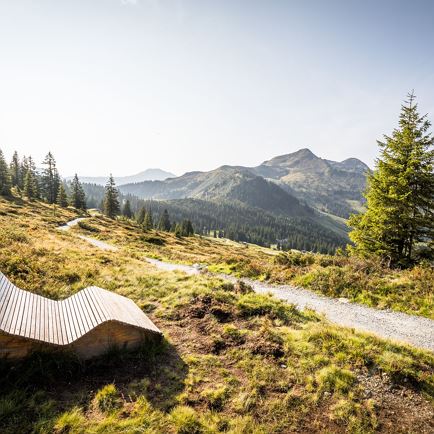 Brechhorn_Kitzbüheler Alpen_Mathäus Gartner (2018)_FULL31.jpg