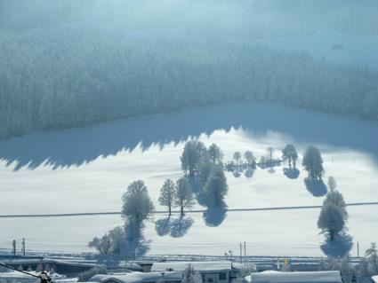 Langlaufen - klassisch oder skating