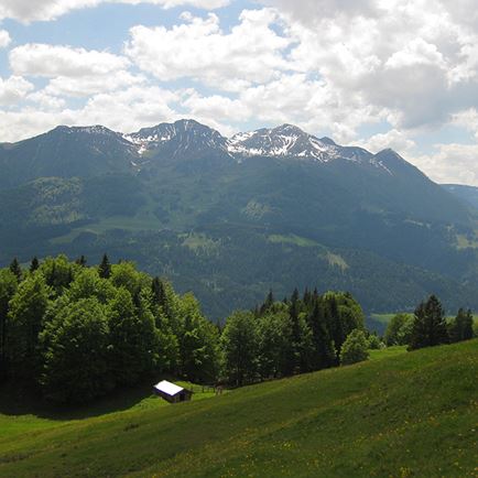 Buchensteinwand über Hoametzl