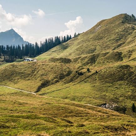 KATwalk@PeterVonier_vonier 83.jpg