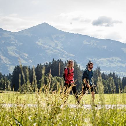 KAT-Walk2019@ErwinHaiden-5112 e1.jpg