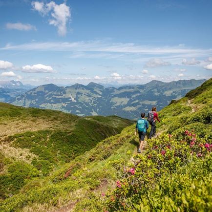 KAT-Walk2019@ErwinHaiden-6486 e2 flora ausblick natur.jpg