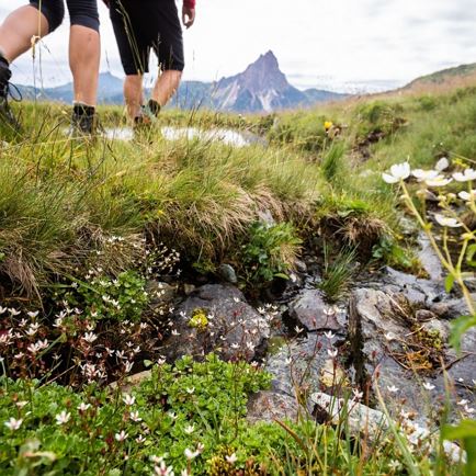 KAT-Walk2019@ErwinHaiden-8263 e3 wasser ausblick natur fauna detail.jpg