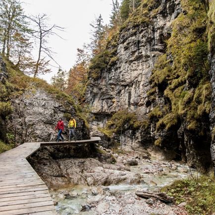 2017-10-12-Kitzalps-Koasatrail-Teil1-5153 (2000x1333).jpg