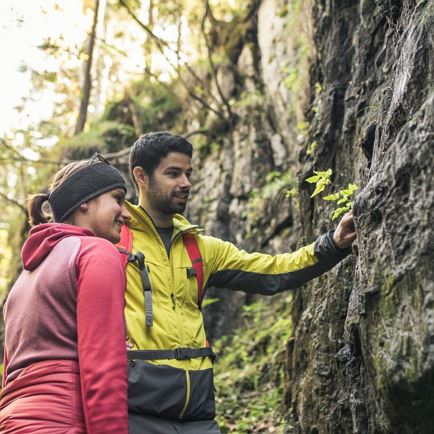 2017-10-12-Kitzalps-Koasatrail-Teil1-3795 (2000x1333).jpg