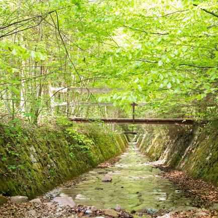 Lechnerwasserfall_2025_Wörgl_Wasser_Quelle_ 2025@ Region Hohe Salve - Larissa Weiskopf.jpg