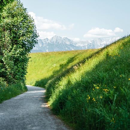 Lindweg@Christoph Partsch-2.jpg