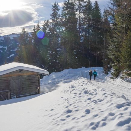 Winterwandern (c) TVB Kitzbüheler Alpen-Brixental (3).jpg
