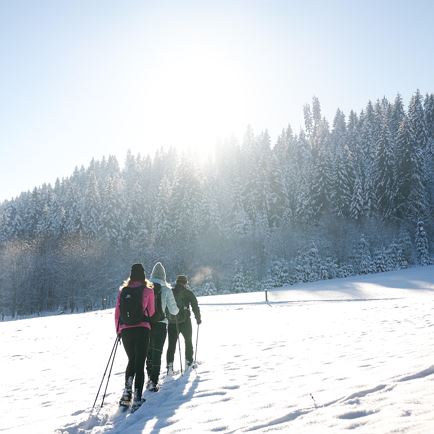 Snowshoe hike to the Neue Bamberger Hütte