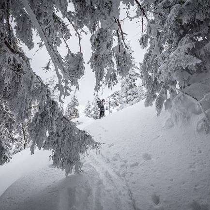 Skitour Tanzkogel