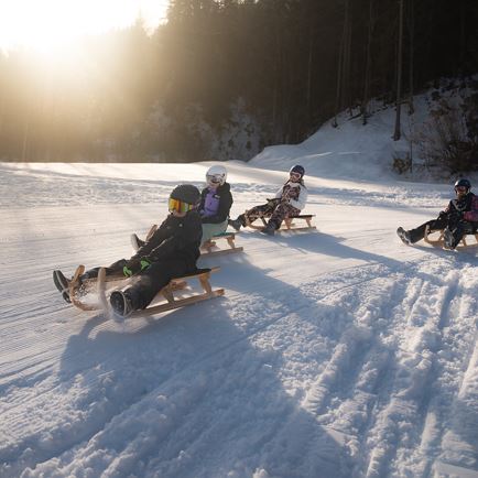 Timoks Naturrodelbahn