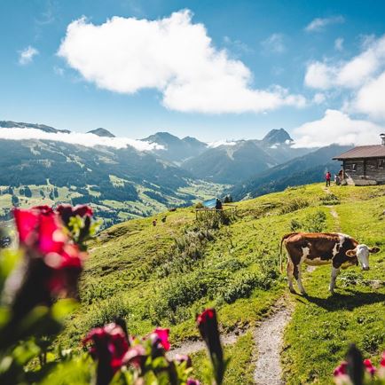 urzeitweg almlandschaft.jpg