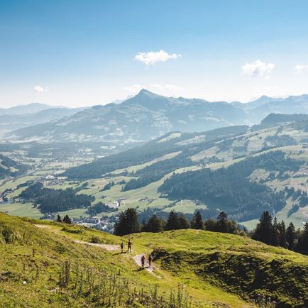 urzeitweg aussicht.jpg