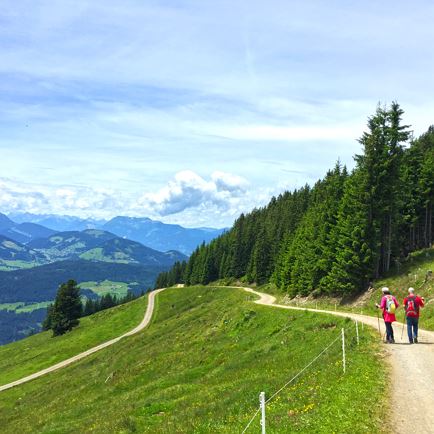 Abstieg vom Gasthof Rigi
