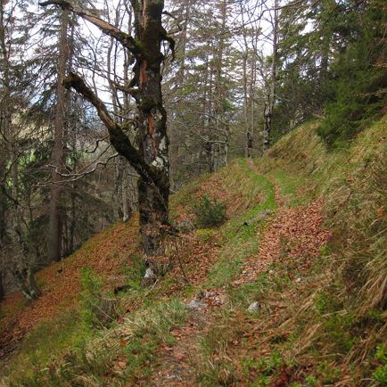 Warminger Höhenmarsch