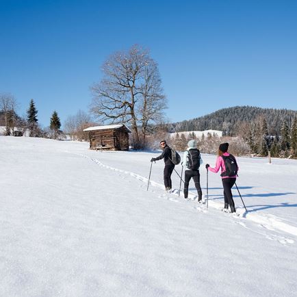 Schneeschuh-Wandern-Penningberg-Region-Hohe-Salve-(c)Region Hohe Salve - Stefan Ringler (11).jpg
