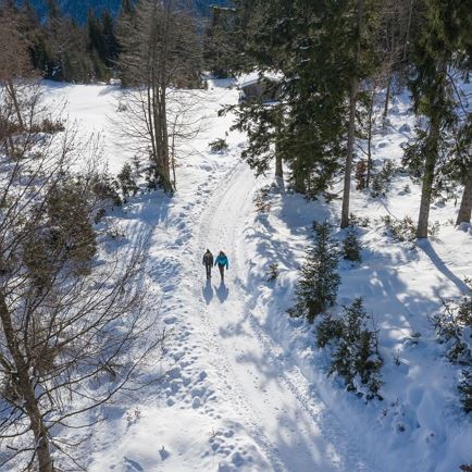 Winterwandern (c) TVB Kitzbüheler Alpen-Brixental (5).jpg