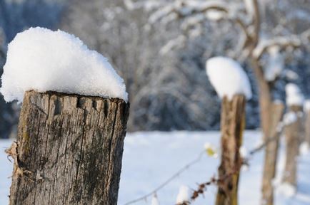 Winterwanderung Hopfgarten - Fischteichrunde